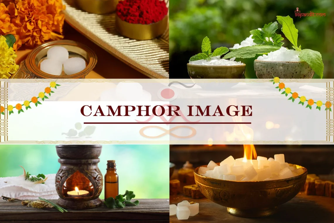 Camphor