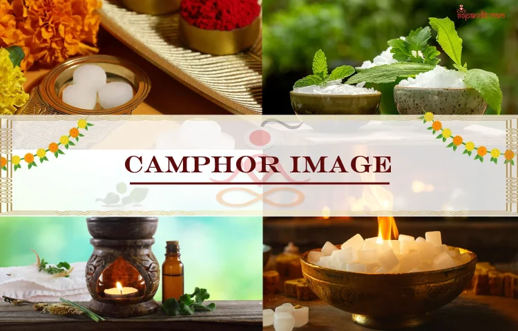 Camphor